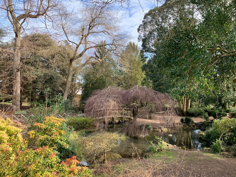 Pond and Chinese bridge, York House Gardens photo by Brian Kerr