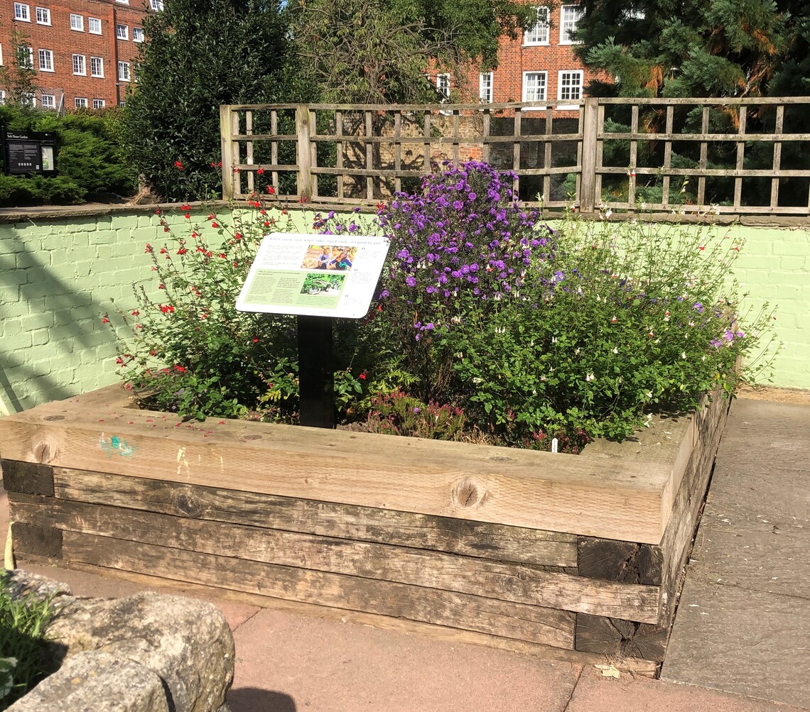 A bed in the community garden