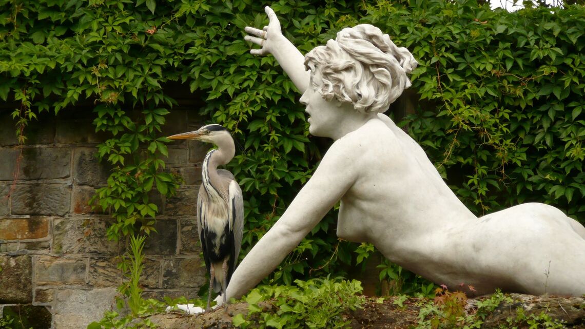 Statue and heron, York House Gardens