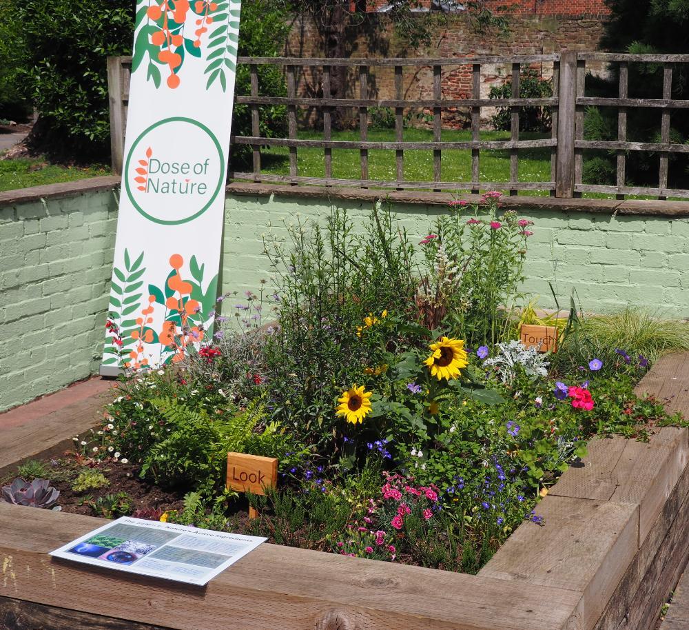 York House Community Garden